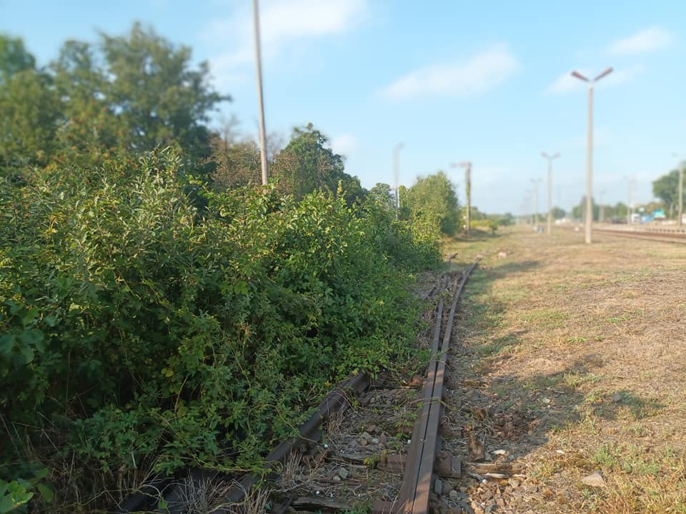 Prokuratura Krajowa wkracza na na zdewastowaną stację PKP Więcbork i zabytkowe zdewastowane przez PKP PLK SA i PKP SA linie kolejowe nr 281 i bezprawnie rozebraną na 150 km zabytkową linię kolejową nr 240 na odcinku Terespol Pomorski - Więcbork - Złotów, którą trzeba ponownie ułożyć, a stacje wyremontować i naprawić zdewastowany sprzęt, tory nastawnie i perony z sygnalizatorami ruchu kolejowego - Tomasz Roman Bracka