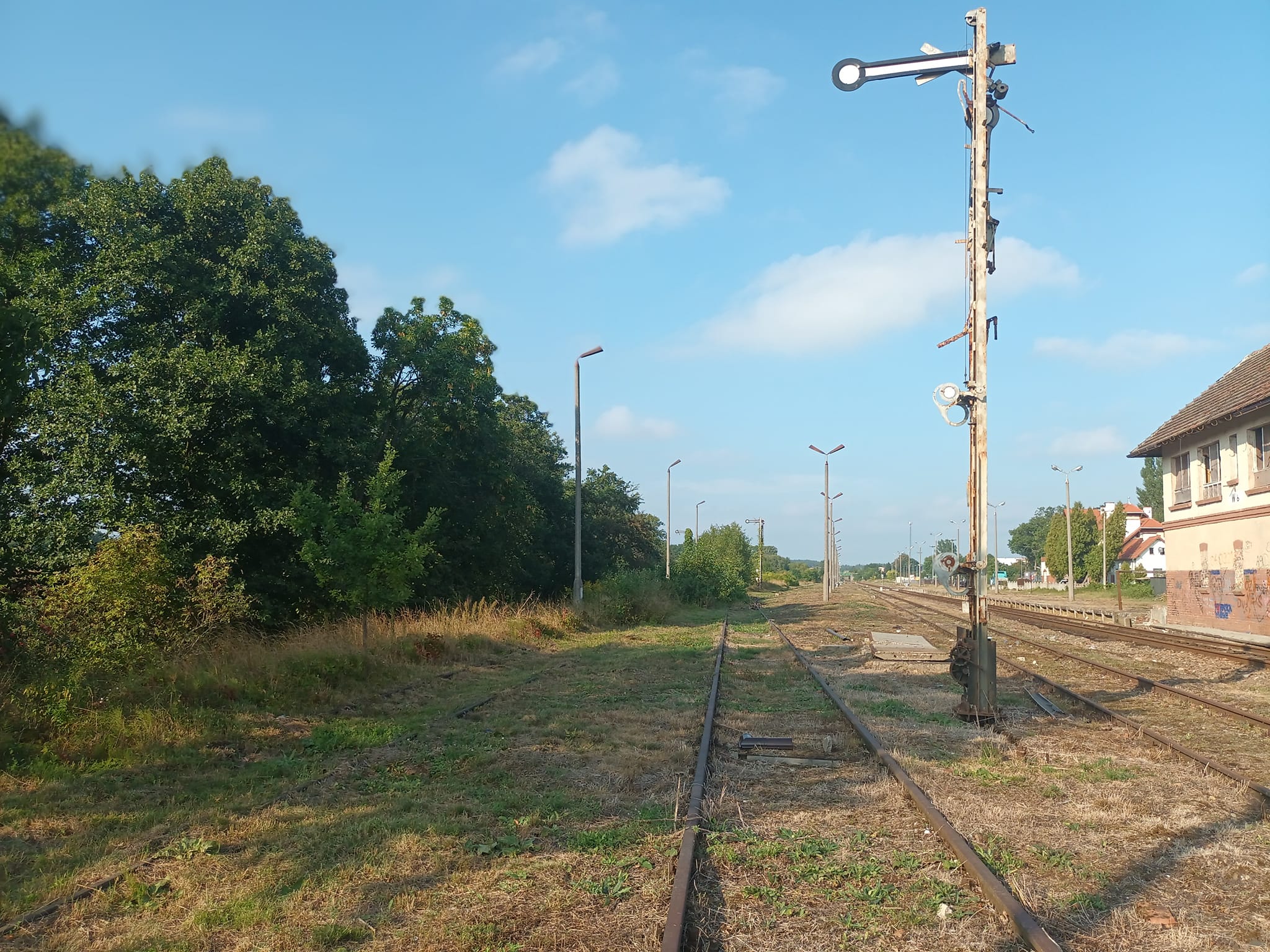 Prokuratura Krajowa wkracza na na zdewastowaną stację PKP Więcbork i zabytkowe zdewastowane przez PKP PLK SA i PKP SA linie kolejowe nr 281 i bezprawnie rozebraną na 150 km zabytkową linię kolejową nr 240 na odcinku Terespol Pomorski - Więcbork - Złotów, którą trzeba ponownie ułożyć, a stacje wyremontować i naprawić zdewastowany sprzęt, tory nastawnie i perony z sygnalizatorami ruchu kolejowego - Tomasz Roman Bracka